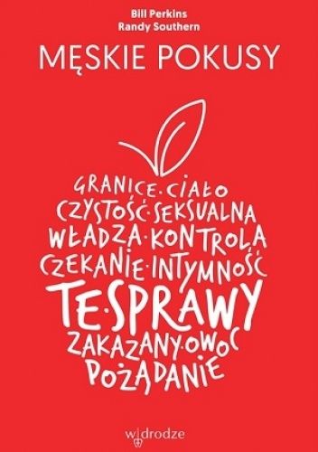 Męskie pokusy okładka