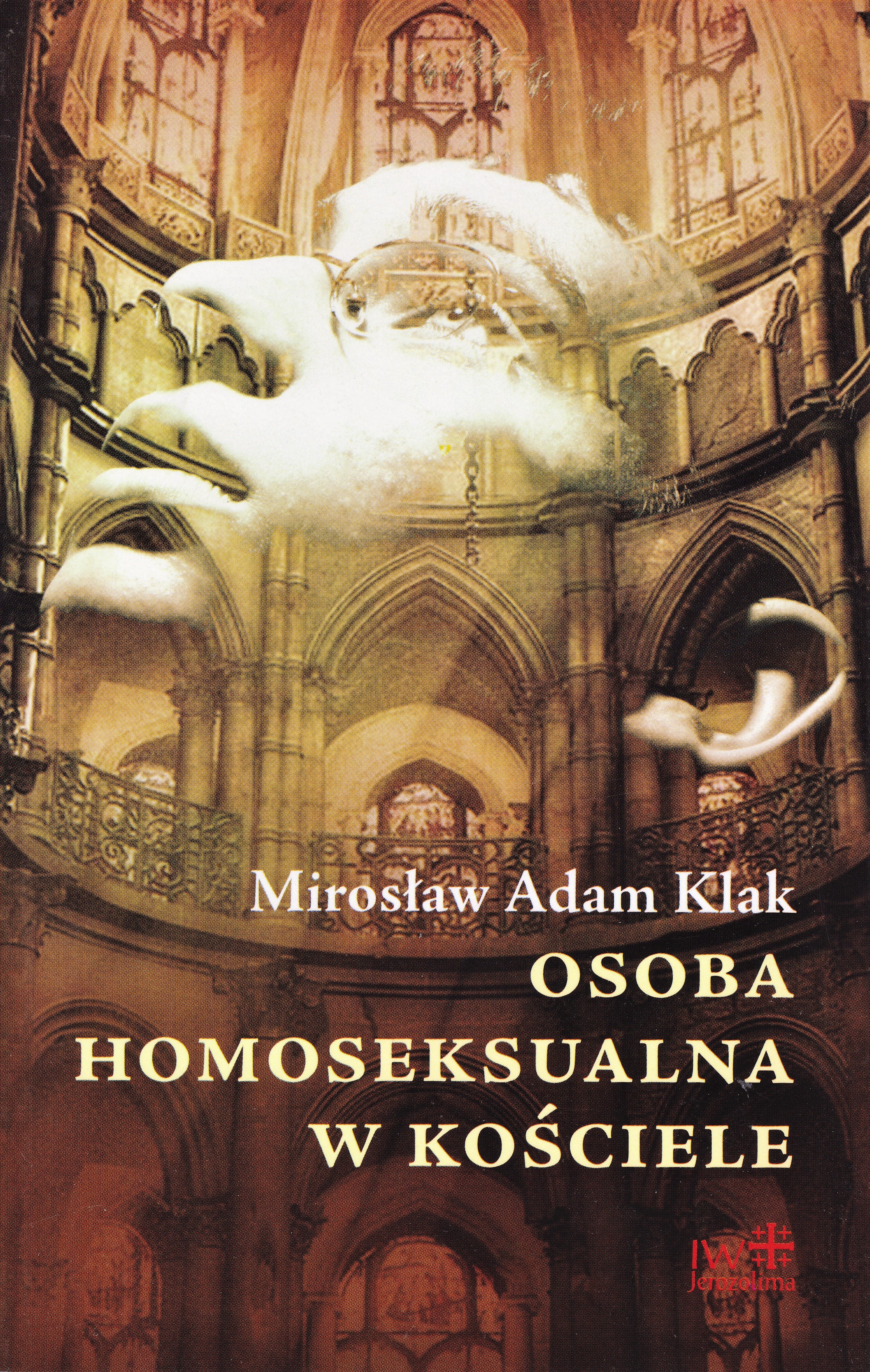 Osoba homoseksualna w Kościele okładka